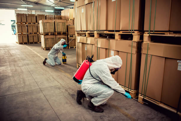 Best Flea Control Services  in , OR