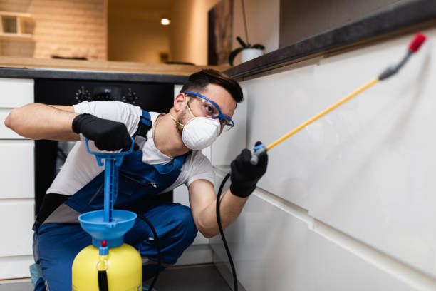 Best Wasp Removal Services  in , OR